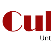 CubuS Unternehmensberatung